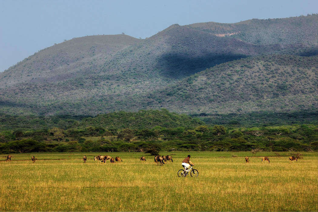 Special Taita Hills and Tsavo East Safari in Kenya