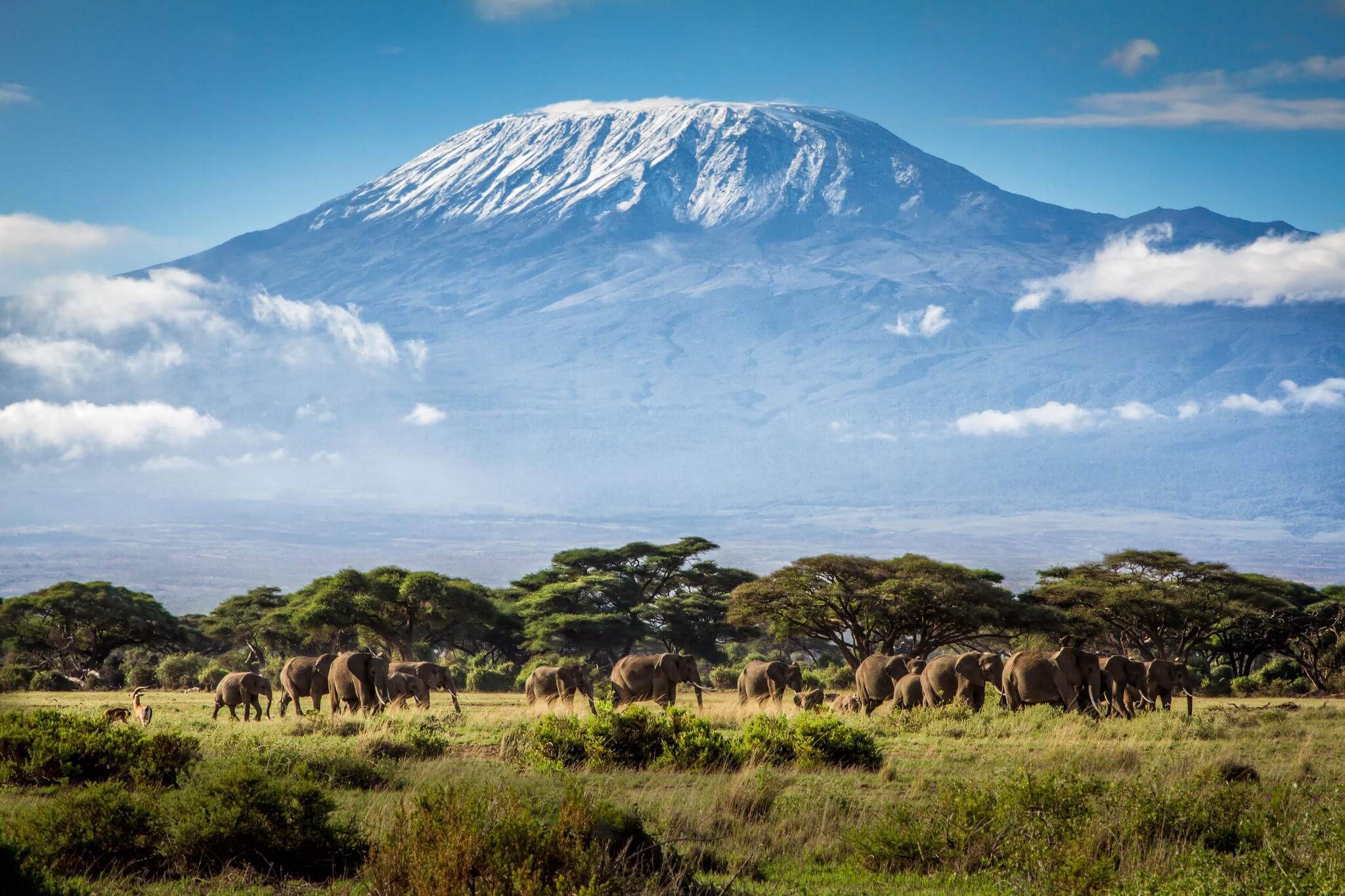 Amboseli and Tsavo Safari in Kenya