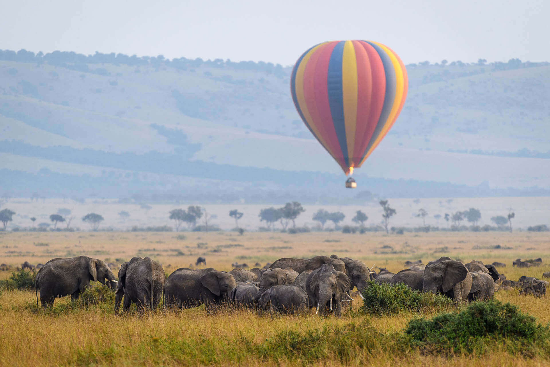 Flying Safari to Masai Mara Kenya
