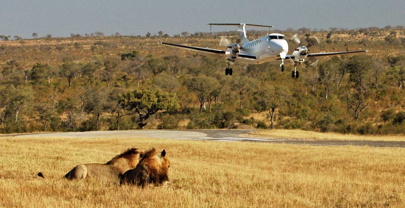 flying safaris kenya