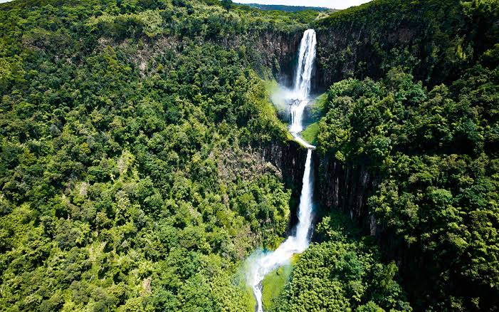 4 Days | Waterfalls Tour and Safari in Aberdare National Park Kenya