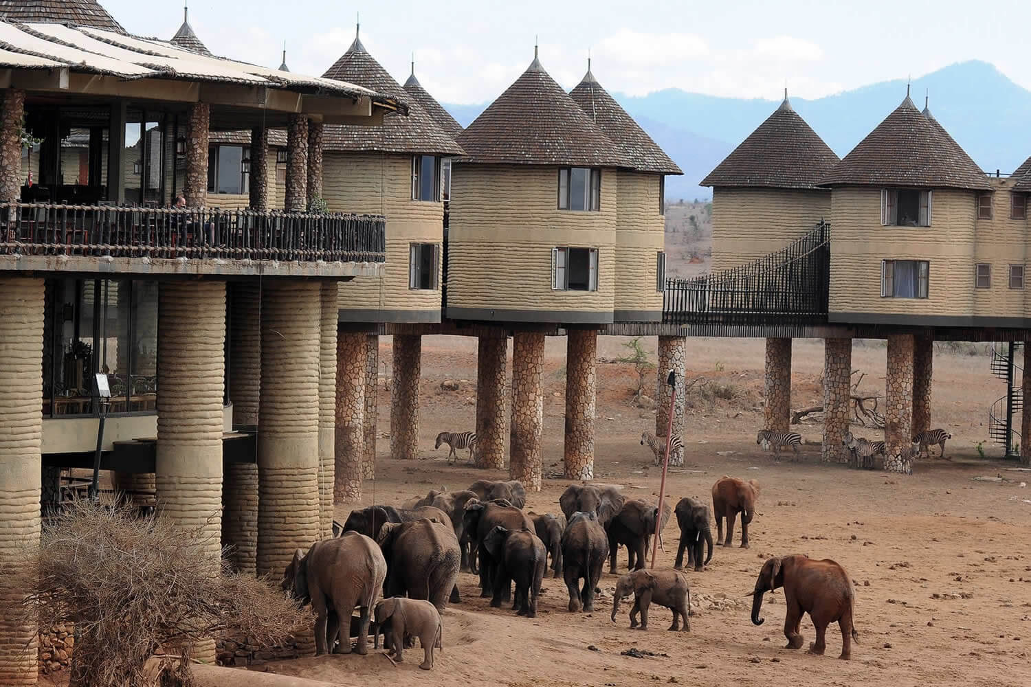 Sarova Salt-Lick Lodge