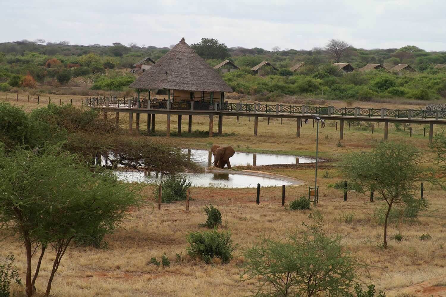 Voi Wildlife Lodge