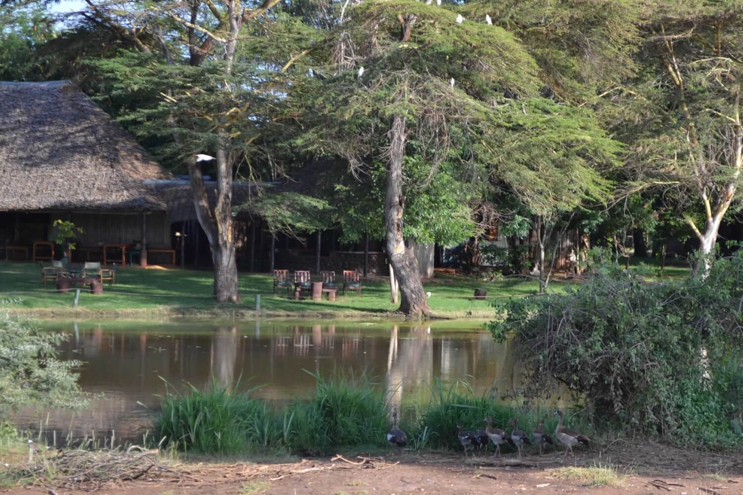 Voyager Ziwani