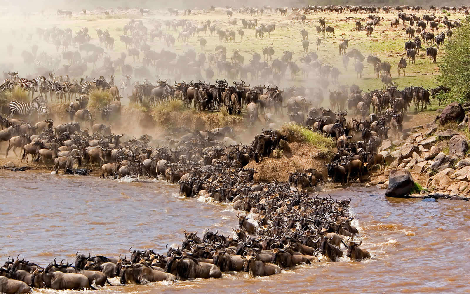 Adventure Safari in Masai Mara