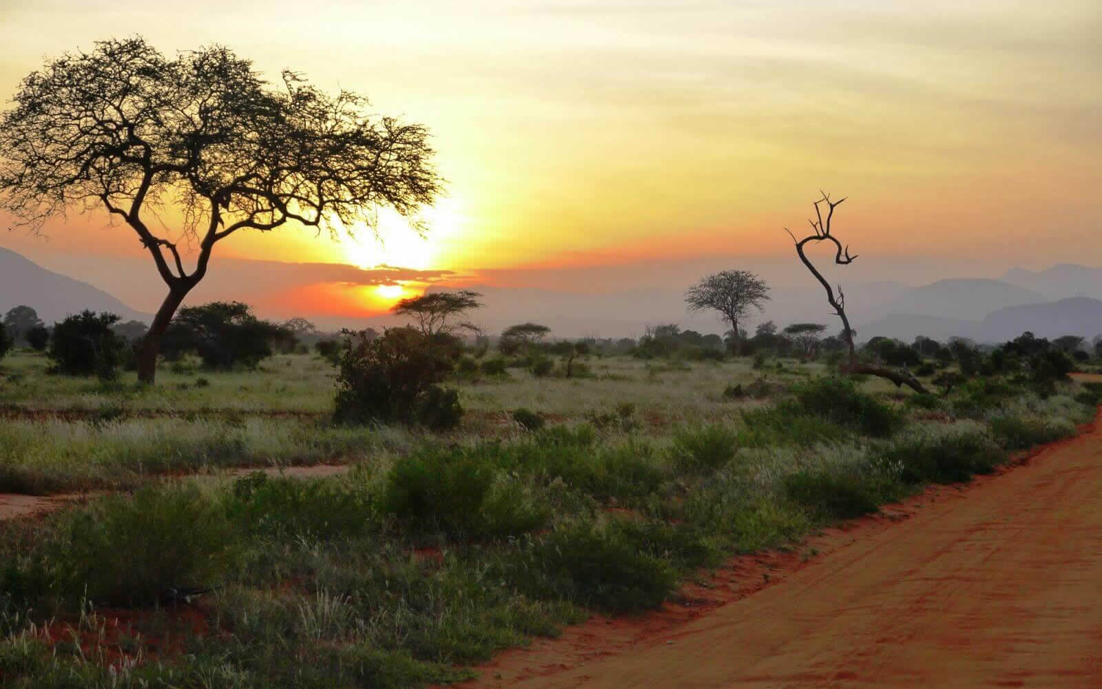 Magnificent Safari Tsavo East National Park Kenya